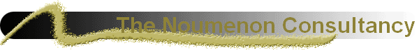 The Noumenon Consultancy